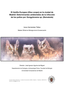 El Autillo Europeo (Otus Scops) En La Ciudad De Madrid: Determinantes Ambientales De La Infección De Los Pollos Por Gongylonema Sp