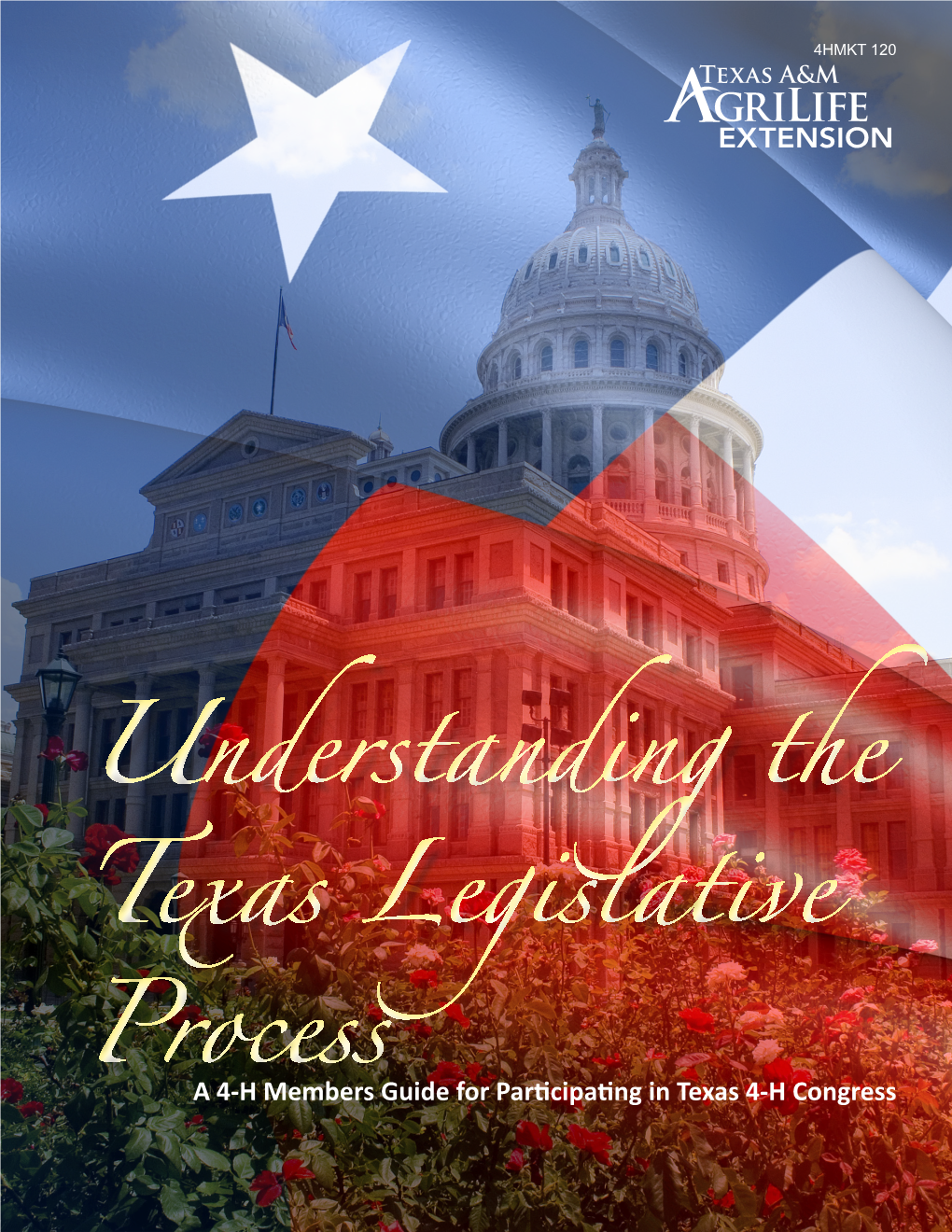 Understanding Texas Government Handbook