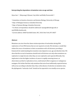 Interpreting the Dependence of Mutation Rates on Age and Time