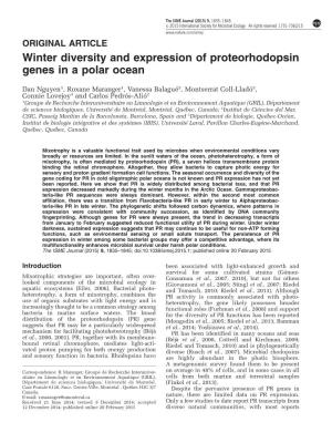 Winter Diversity and Expression of Proteorhodopsin Genes in a Polar Ocean