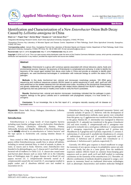 Identification and Characterization of a New Enterobacter Onion Bulb