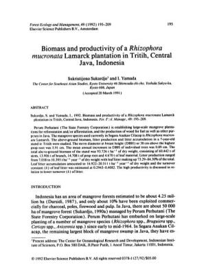 Biomass and Productivity of a Rhizophora Mucronata Lamarck Plantation in Tritih, Central Java, Indonesia