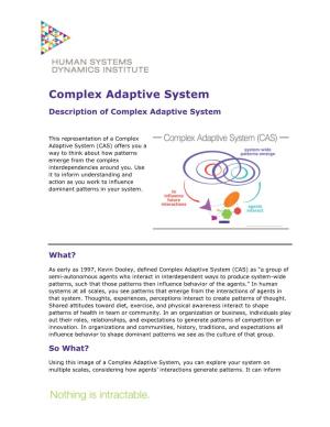 Complex Adaptive System