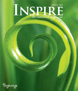 Inspire, Spring 2009