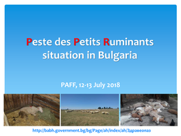 Peste Des Petits Ruminants Situation in Bulgaria