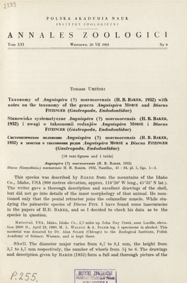 Taxonomy of Anguispira (?) Marmorensis (HB Baker, 1932)
