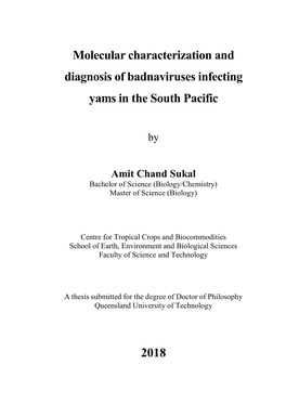 Molecular Characterization and Diagnosis of Badnaviruses Infecting Yams in the South Pacific