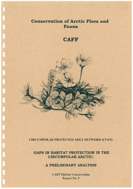 CPAN Gaps Protection Prelimi