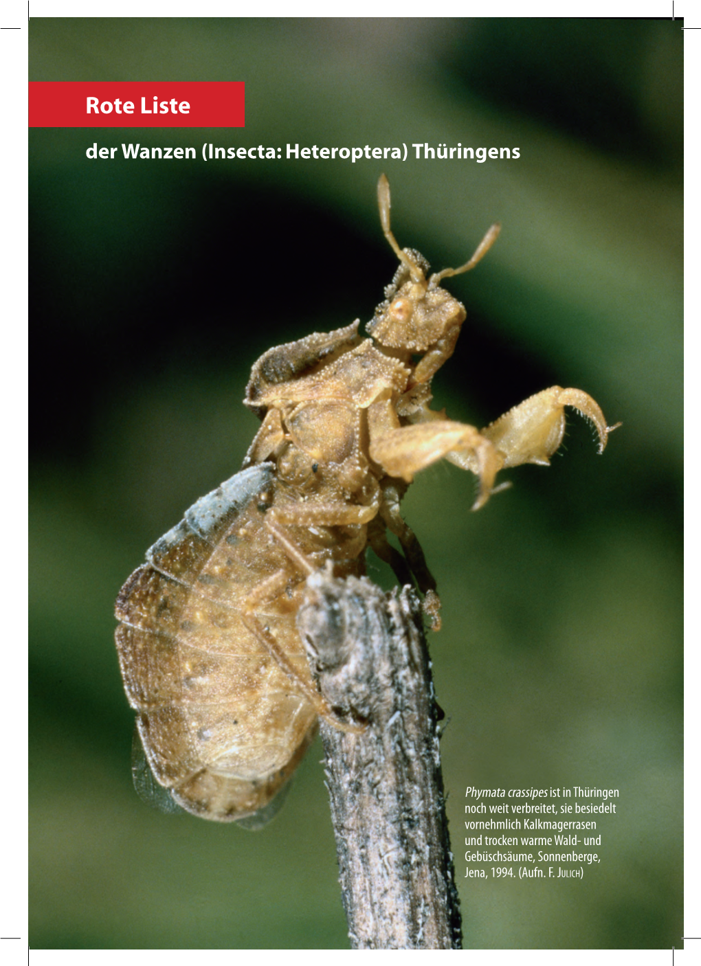 Rote Liste Der Wanzen (Insecta: Heteroptera) Thüringens