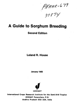 A Guide to Sorghum Breeding