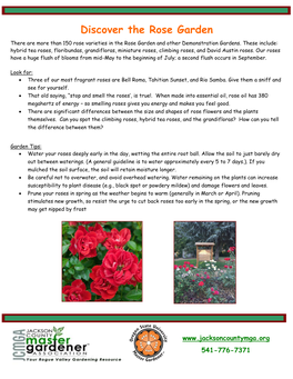 Discover the Rose Garden There Are More Than 150 Rose Varieties in the Rose Garden and Other Demonstration Gardens