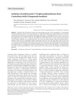 Isolation of Anthocyanin 7-O-Glucosyltransferase from Canterbury Bells (Campanula Medium)