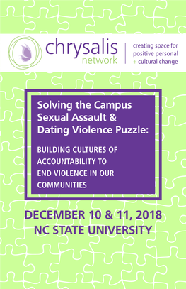 Solving the Campus Sexual Assault & Dating Violence Puzzle