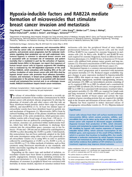 Hypoxia-Inducible Factors and RAB22A Mediate Formation of Microvesicles That Stimulate Breast Cancer Invasion and Metastasis