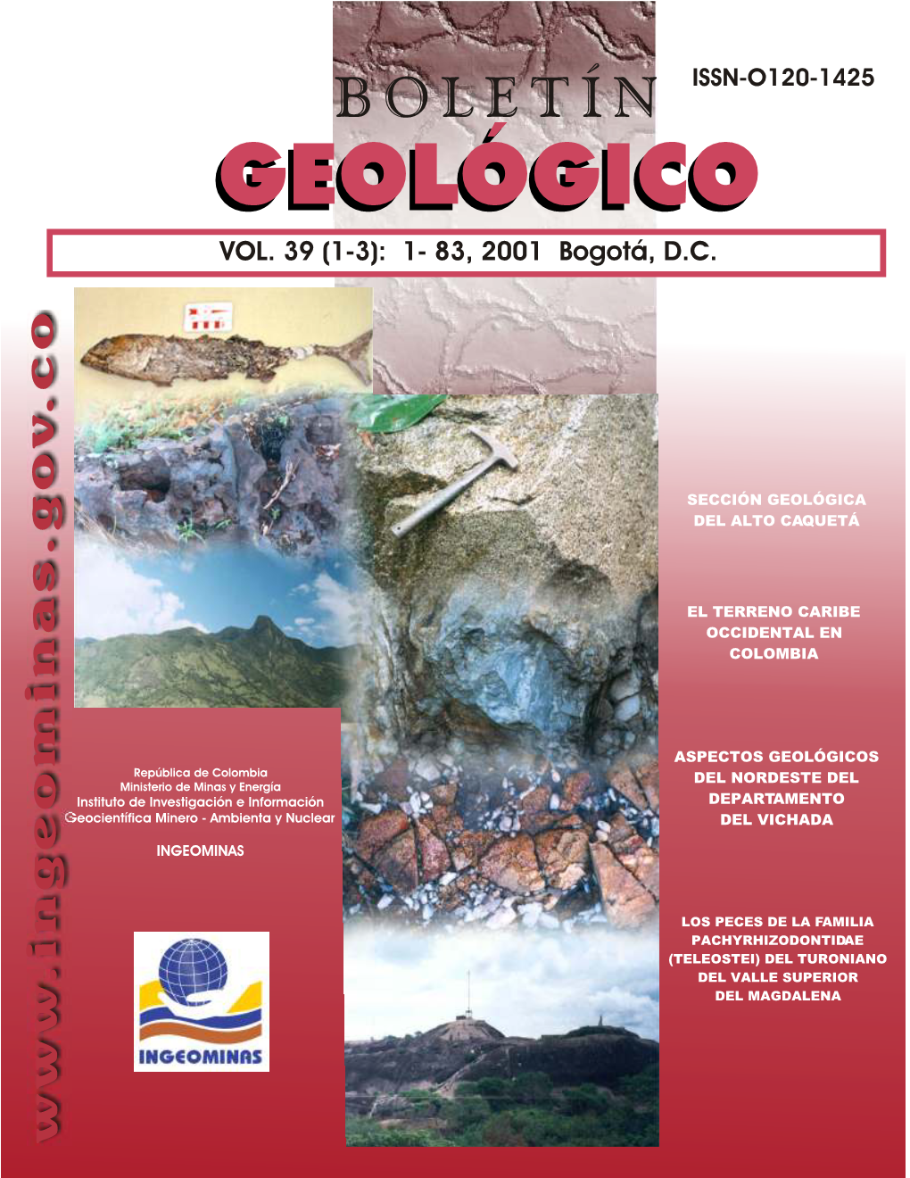 D:\Boletín Geologico\Boletin Ge