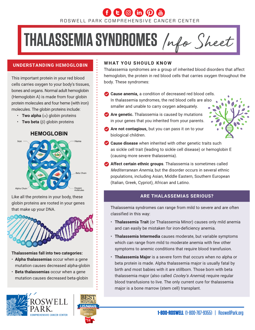 THALASSEMIA SYNDROMES Info Sheet