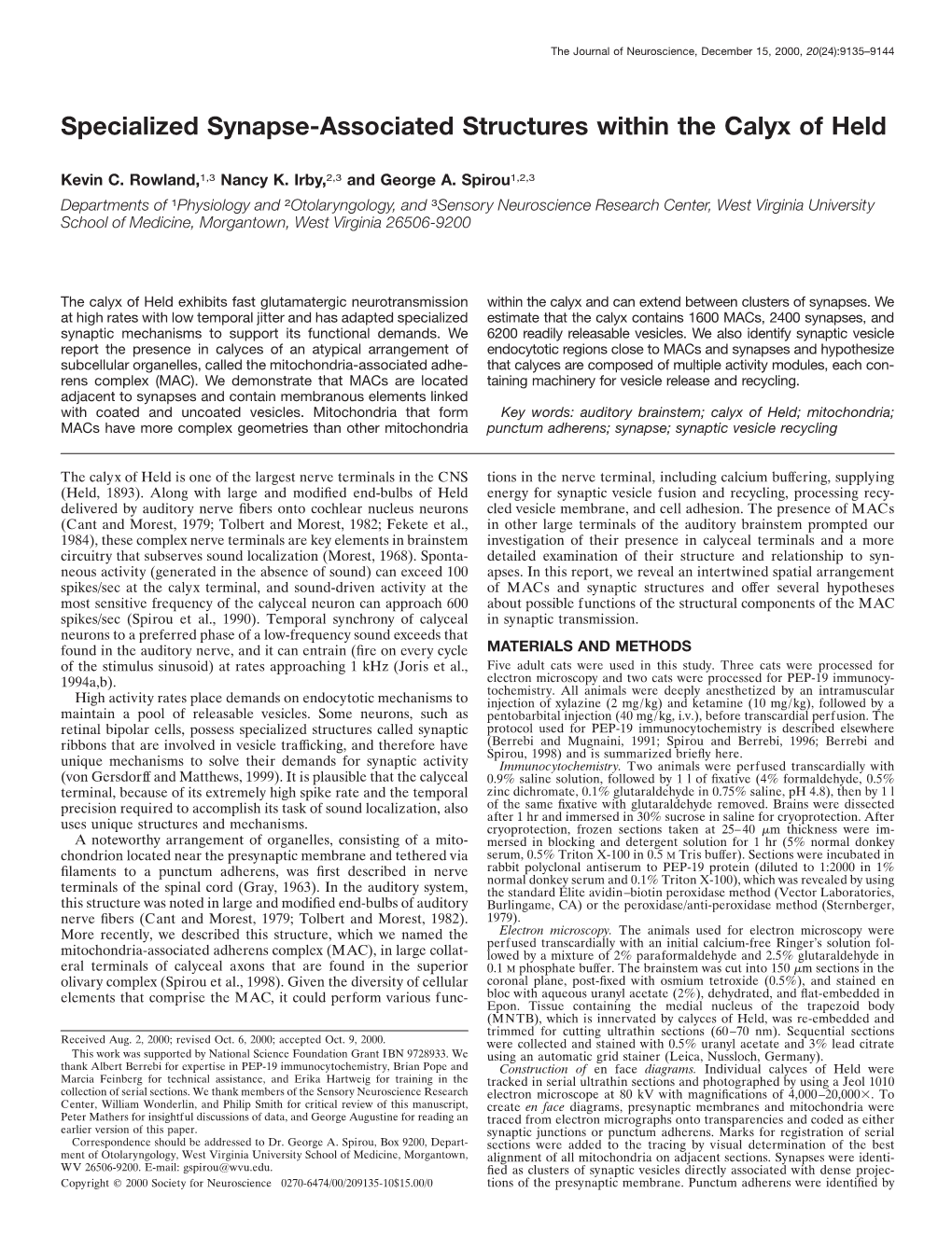 Specialized Synapse-Associated Structures Within the Calyx of Held