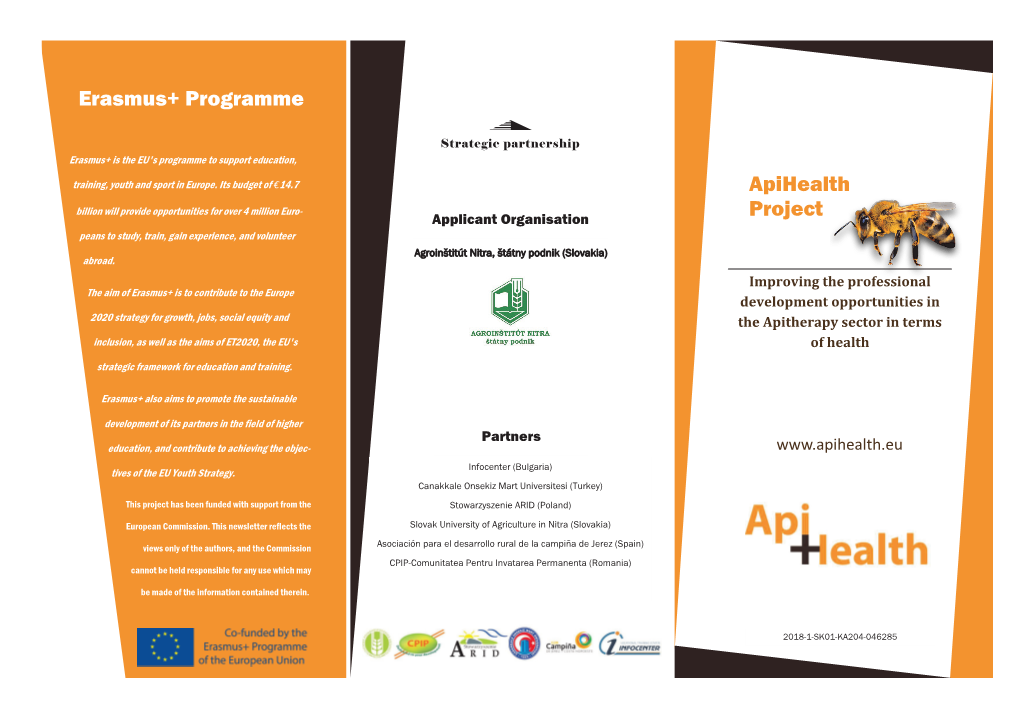 Erasmus+ Programme Apihealth Project