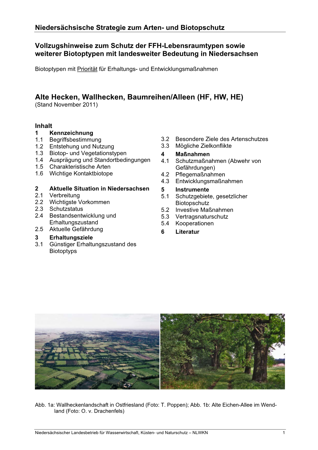 Alte Hecken, Wallhecken, Baumreihen/Alleen (HF, HW, HE) (Stand November 2011)