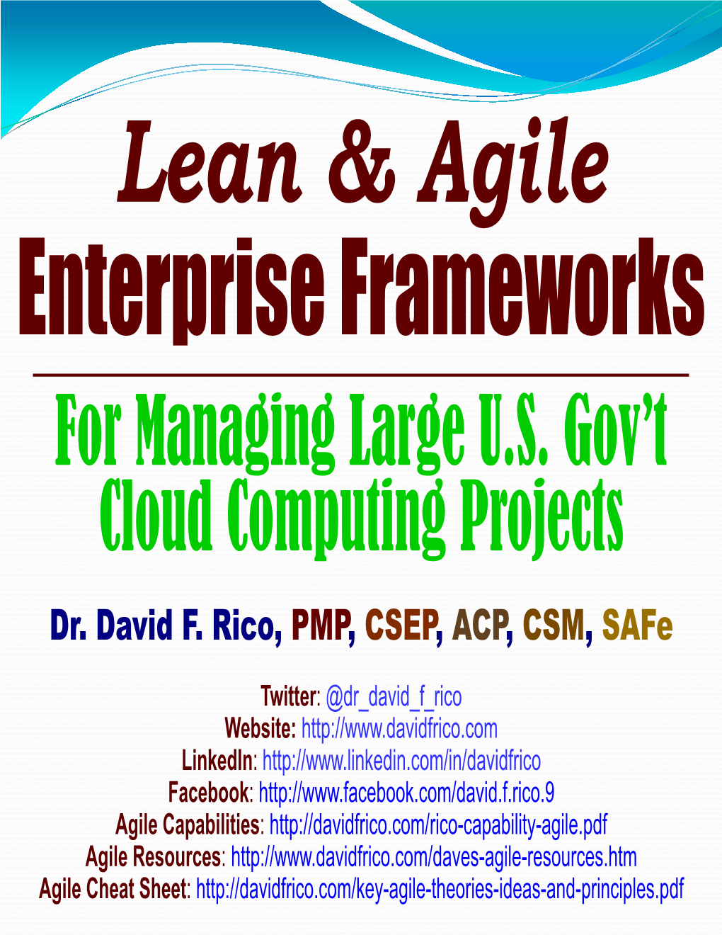 For Managing Large U.S. Gov't Cloud Computing Projects