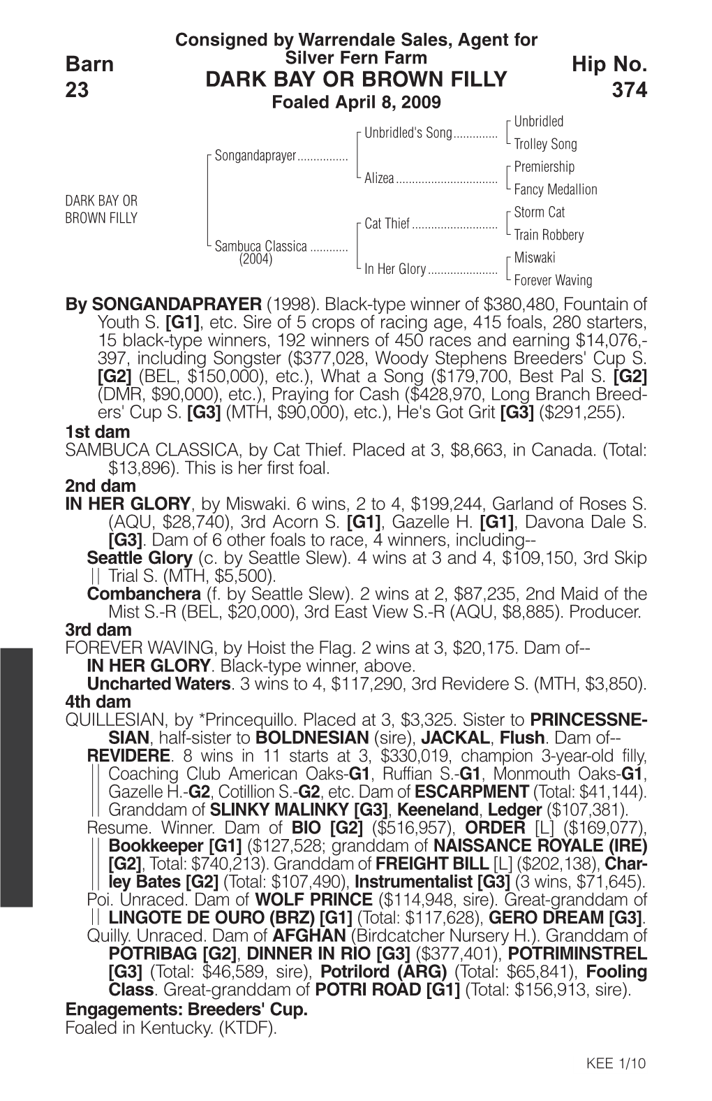 DARK BAY OR BROWN FILLY Barn 23 Hip No