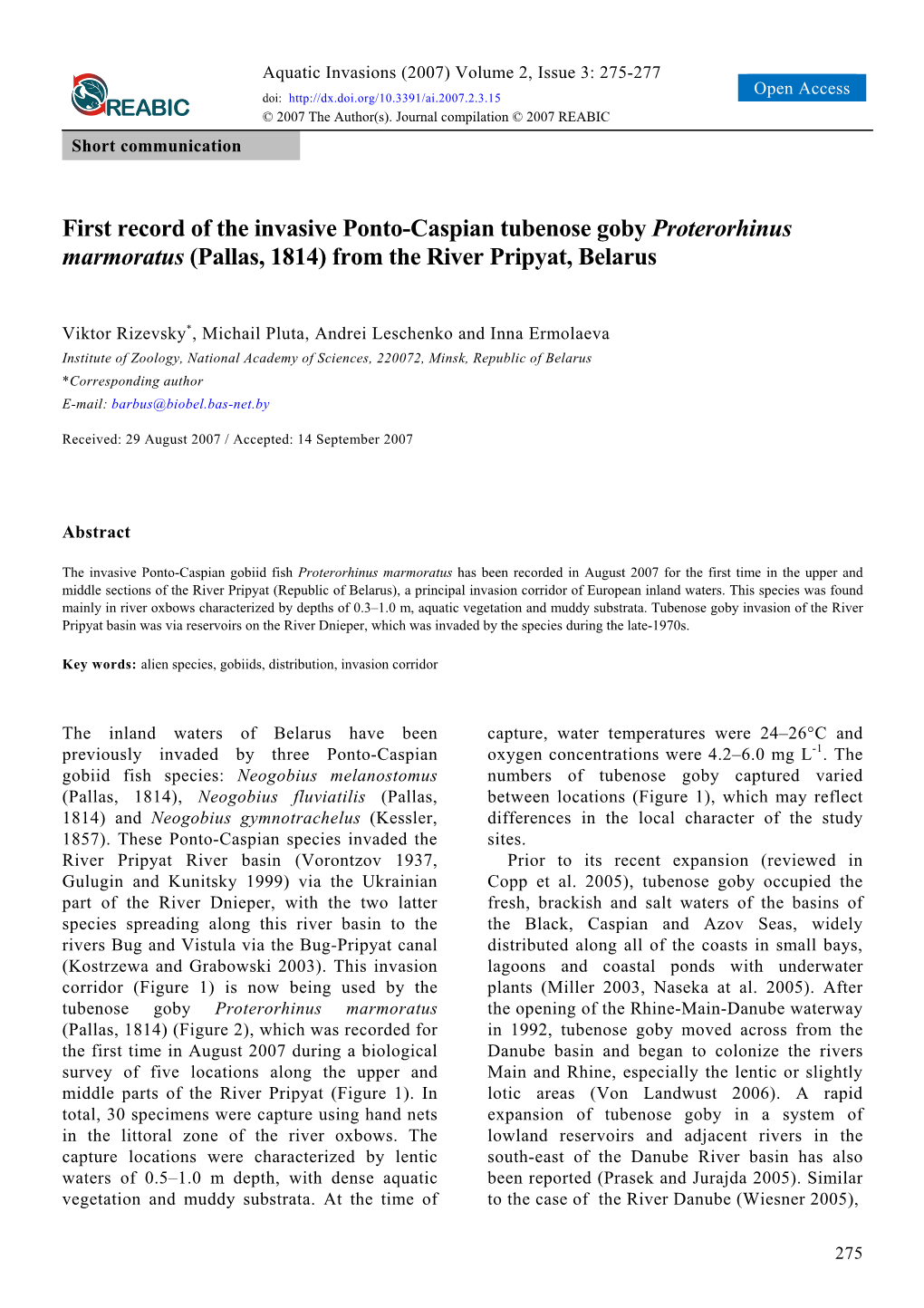 First Record of the Invasive Ponto-Caspian Tubenose Goby Proterorhinus Marmoratus (Pallas, 1814) from the River Pripyat, Belarus