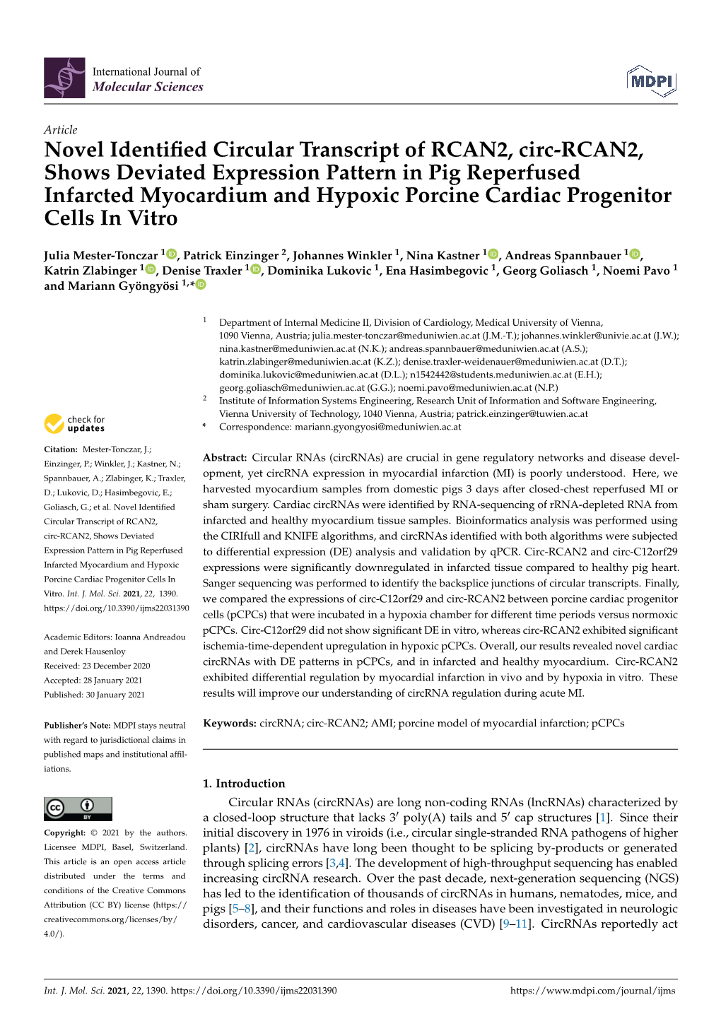 Novel Identified Circular Transcript of RCAN2, Circ-RCAN2, Shows Deviated Expression Pattern in Pig Reperfused Infarcted Myocard