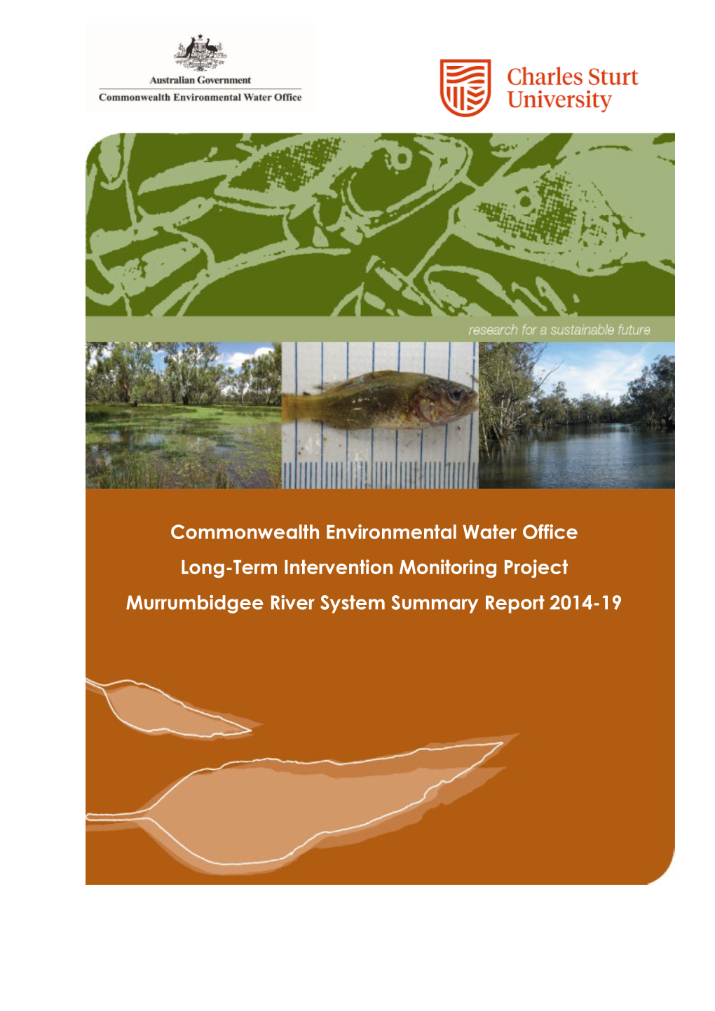 20191219 Murrumbidgee 2014-19 LTIM Summary Report Draft (V4)