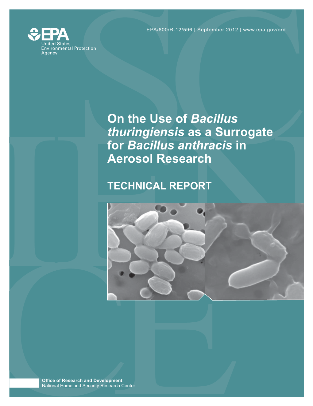 On the Use of Bacillus Thuringiensis As a Surrogate for Bacillus Anthracis in Aerosol Research