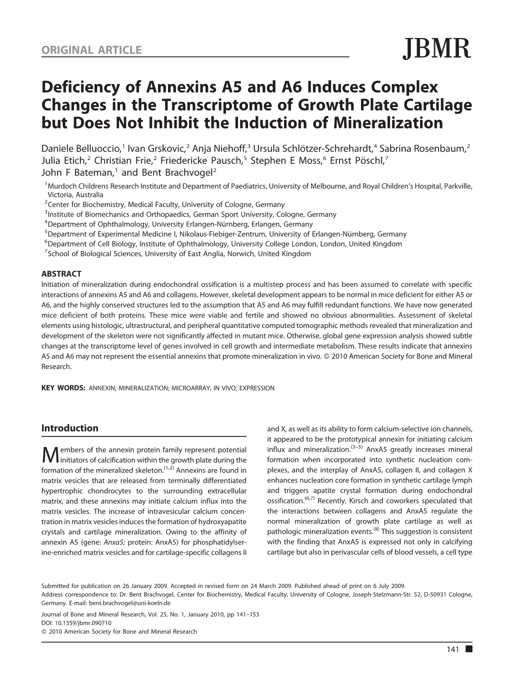 Deficiency of Annexins A5 and A6 Induces Complex Changes in the Transcriptome of Growth Plate Cartilage but Does Not Inhibit the Induction of Mineralization