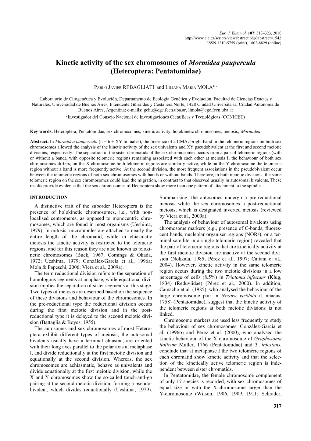 Kinetic Activity of the Sex Chromosomes of Mormidea Paupercula (Heteroptera: Pentatomidae)