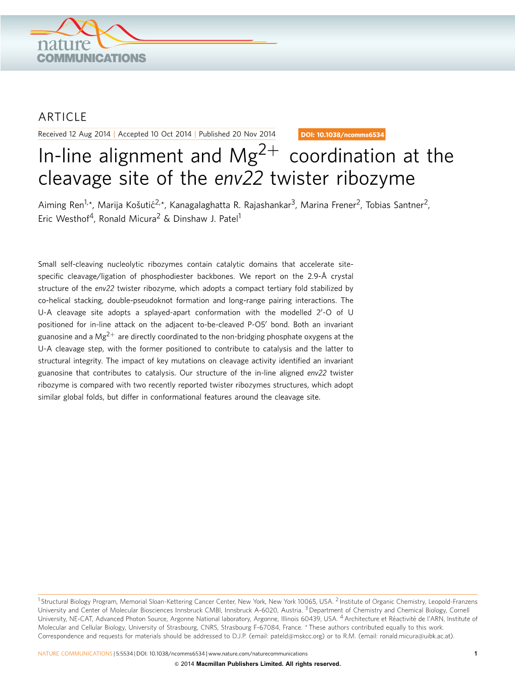 In-Line Alignment and Mg2&Plus; Coordination at the Cleavage Site of the Env22 Twister Ribozyme