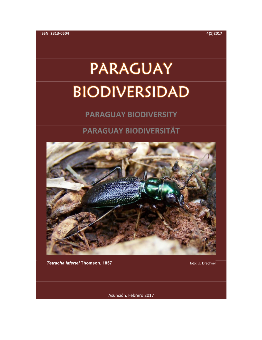 The Early Stages of Paracles Aurantiaca (Rothschild, 1910) (Lepidoptera: Erebidae: Arctiini)