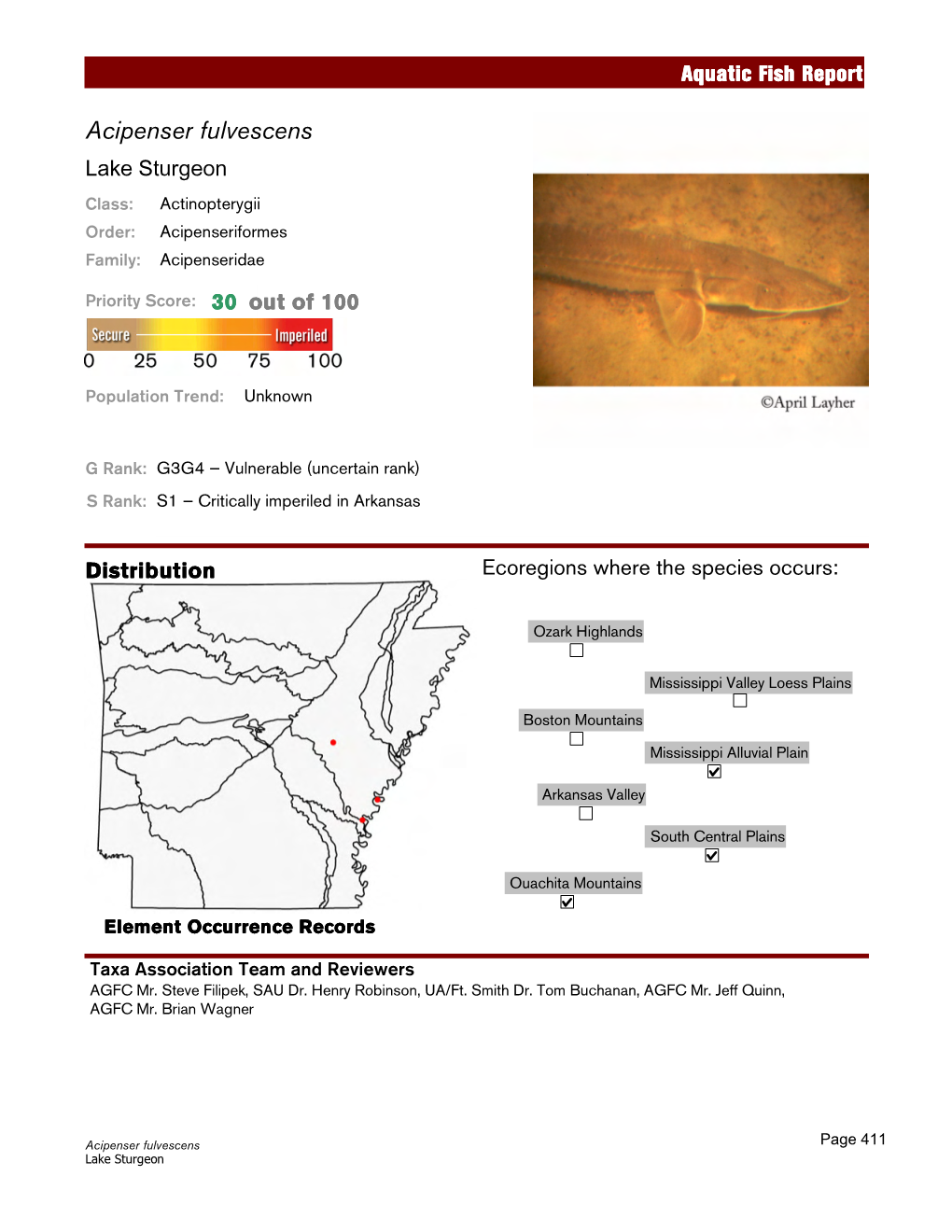 Aquatic Fish Report