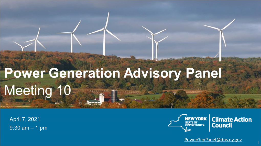 Power Generation Advisory Panel Meeting 10