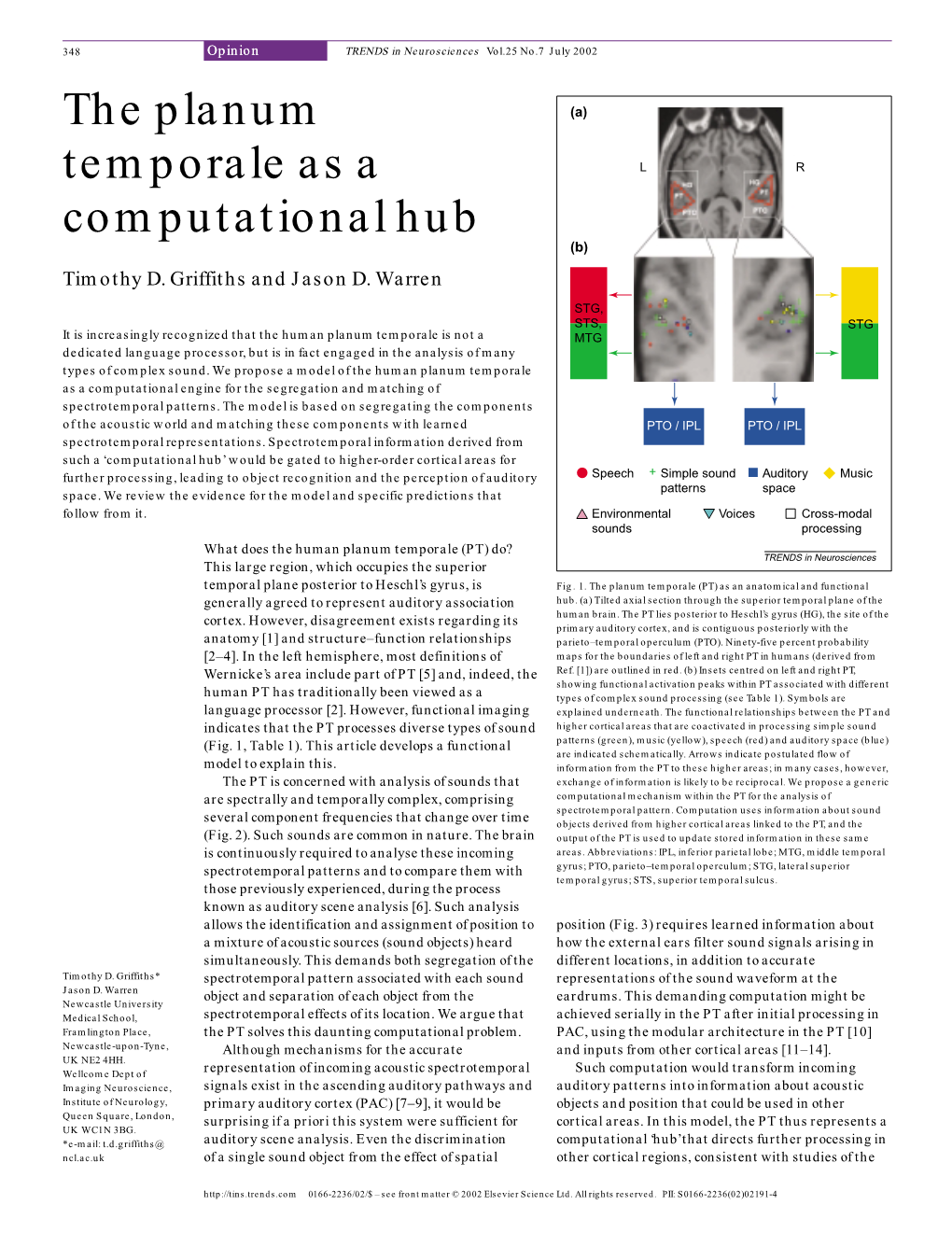 The Planum Temporale As a Computational