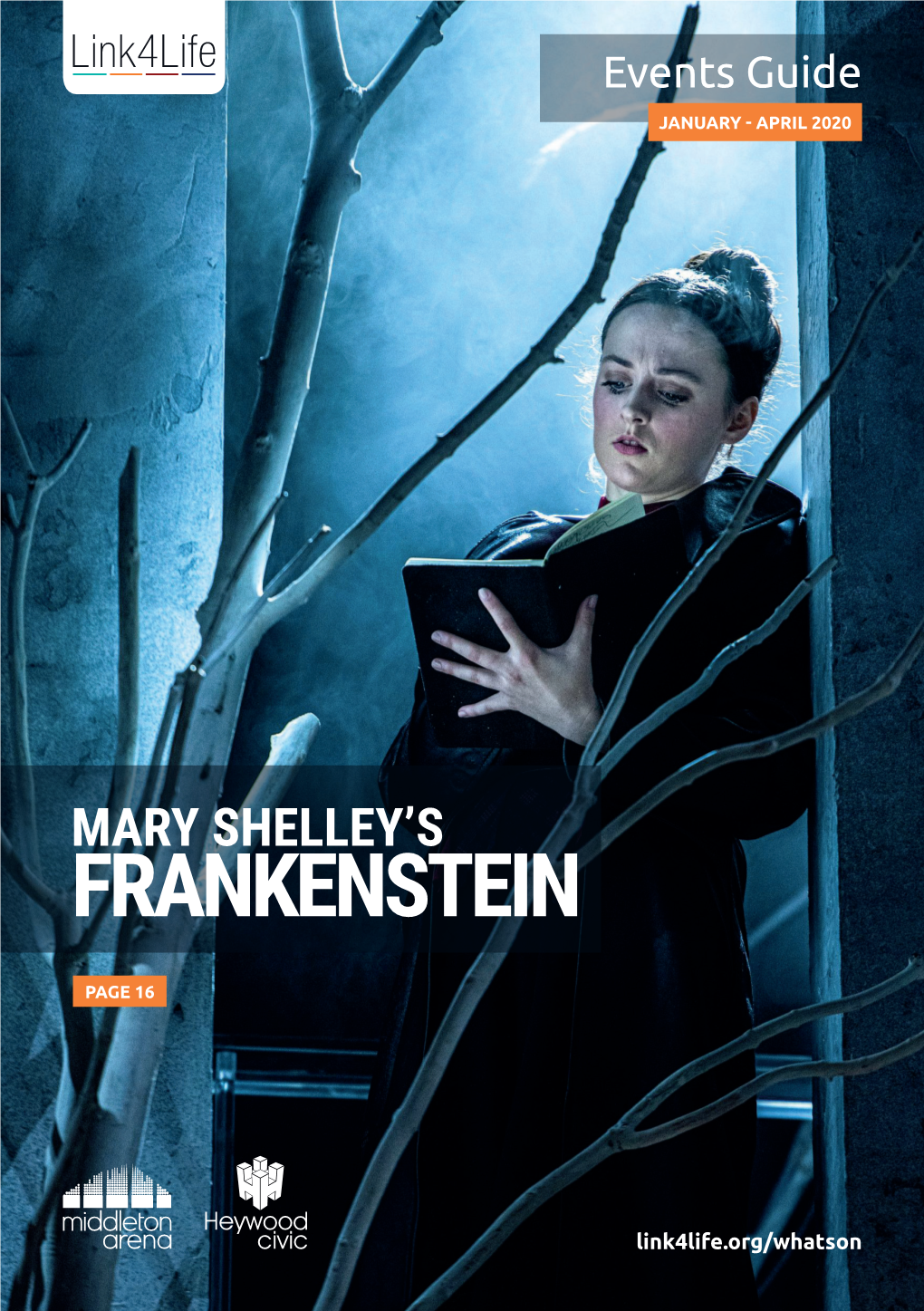 Mary Shelley's Frankenstein