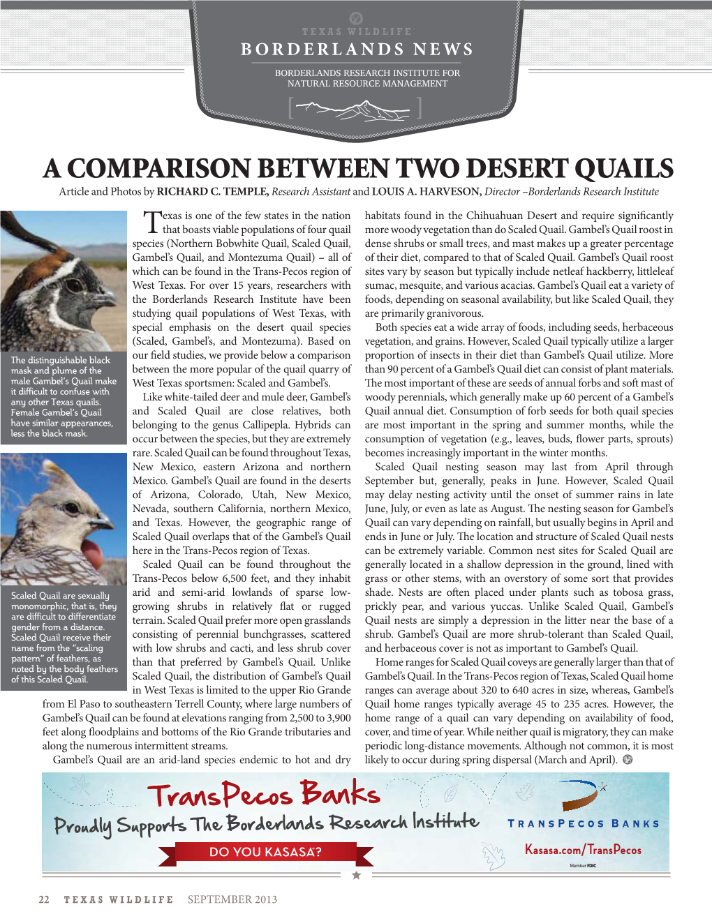 A COMPARISON BETWEEN TWO DESERT QUAILS Article and Photos by RICHARD C