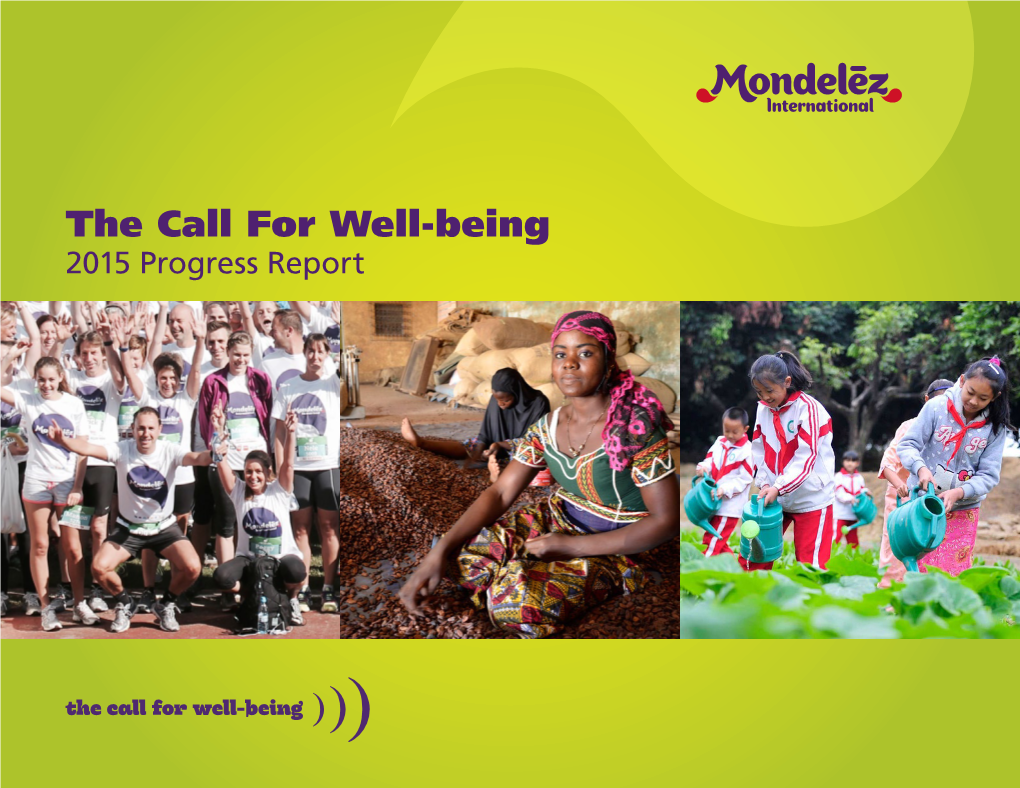 Call for Well-Being 2015 Progress Report TABLE of CONTENTS