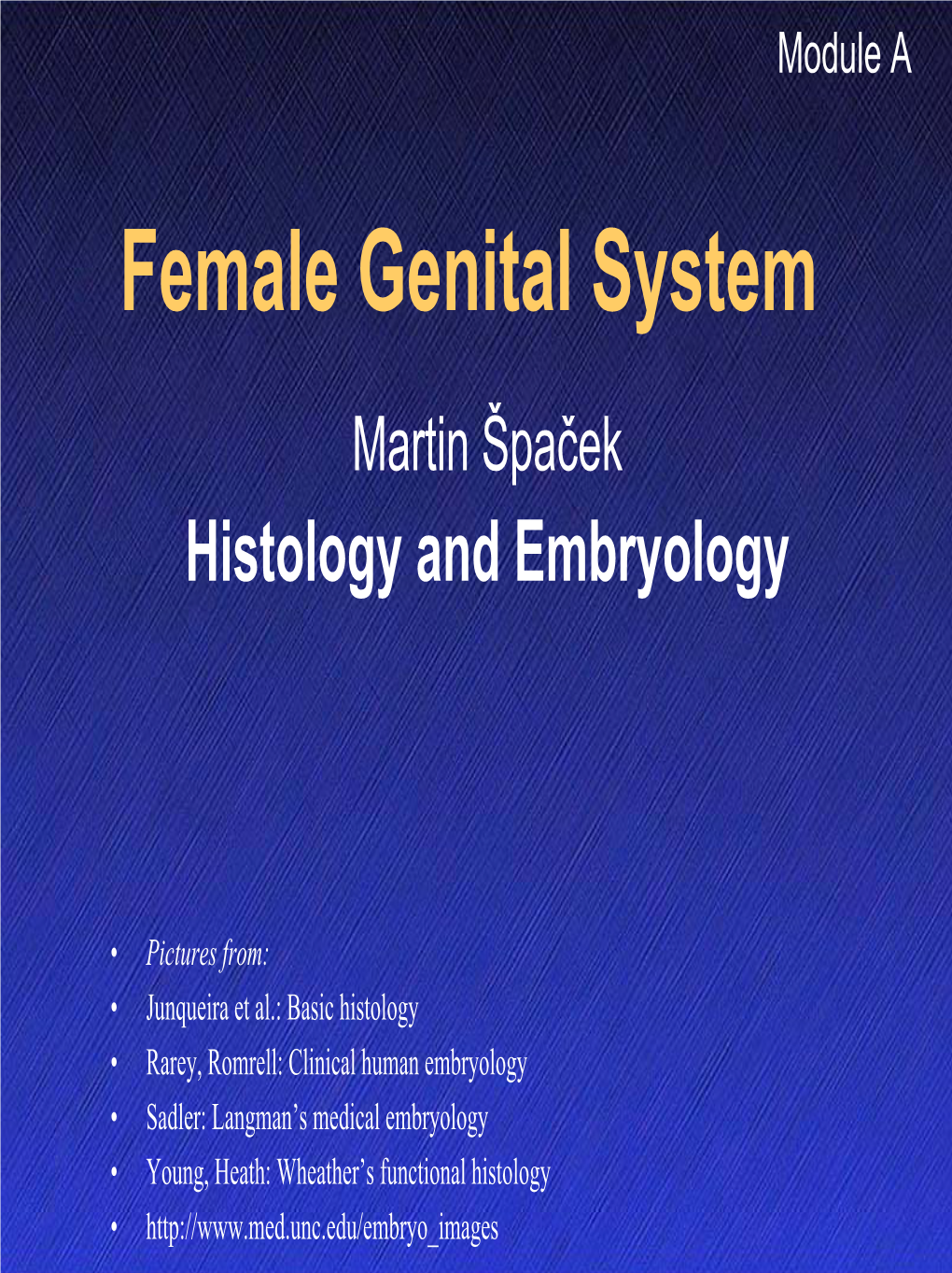 Female Genital System