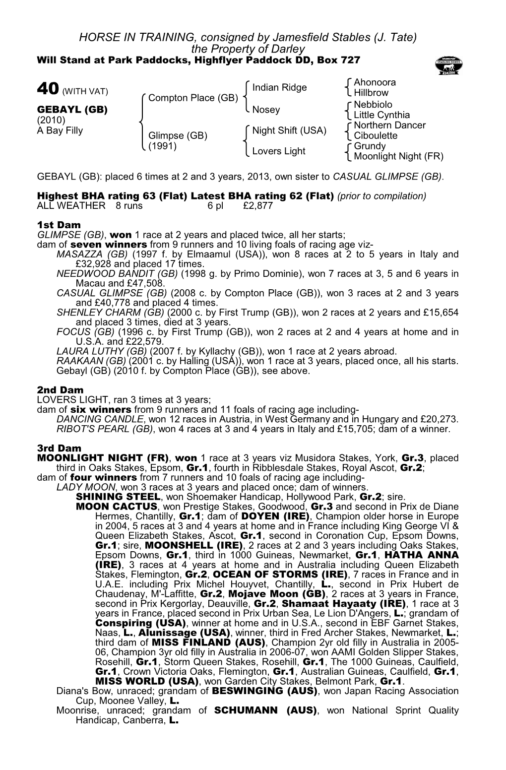 HORSE in TRAINING, Consigned by Jamesfield Stables (J. Tate) the Property of Darley Will Stand at Park Paddocks, Highflyer Paddock DD, Box 727