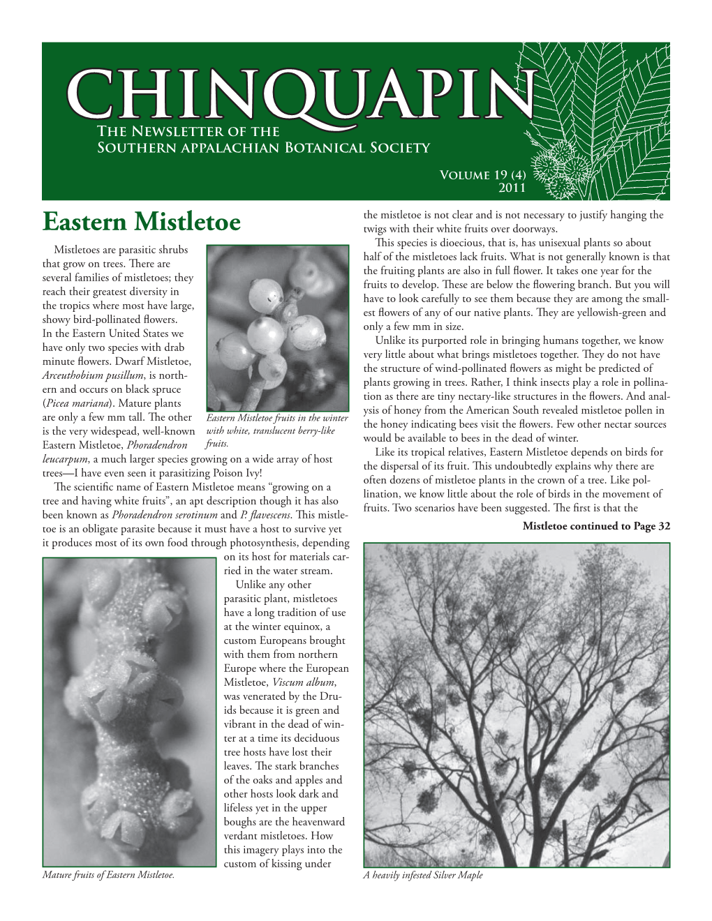 CHINQUAPIN the Newsletter of the Southern Appalachian Botanical Society