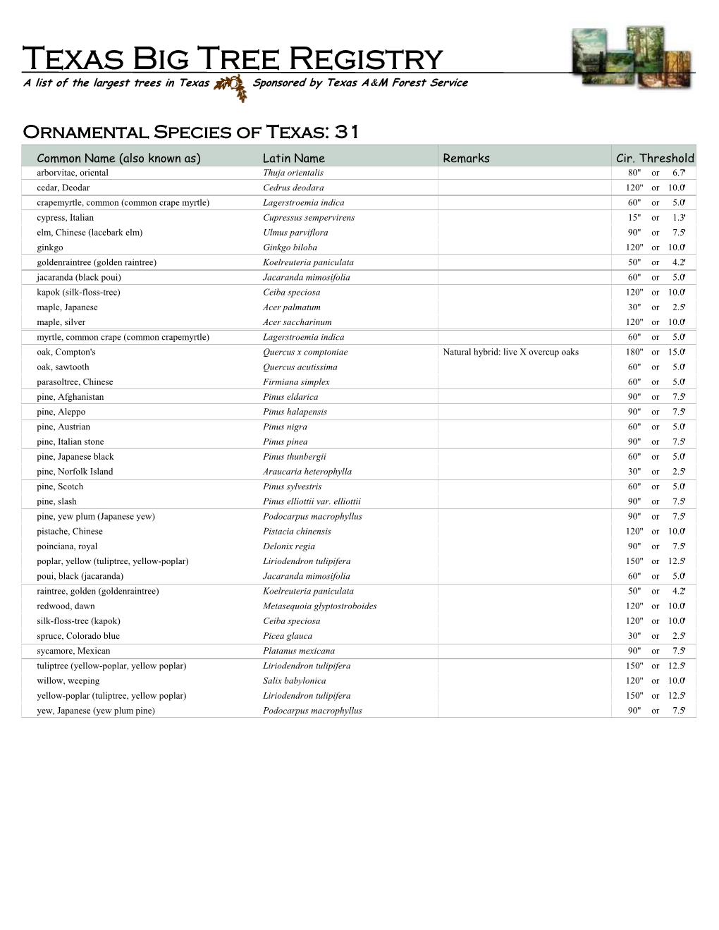 Ornamental Species of Texas: 31