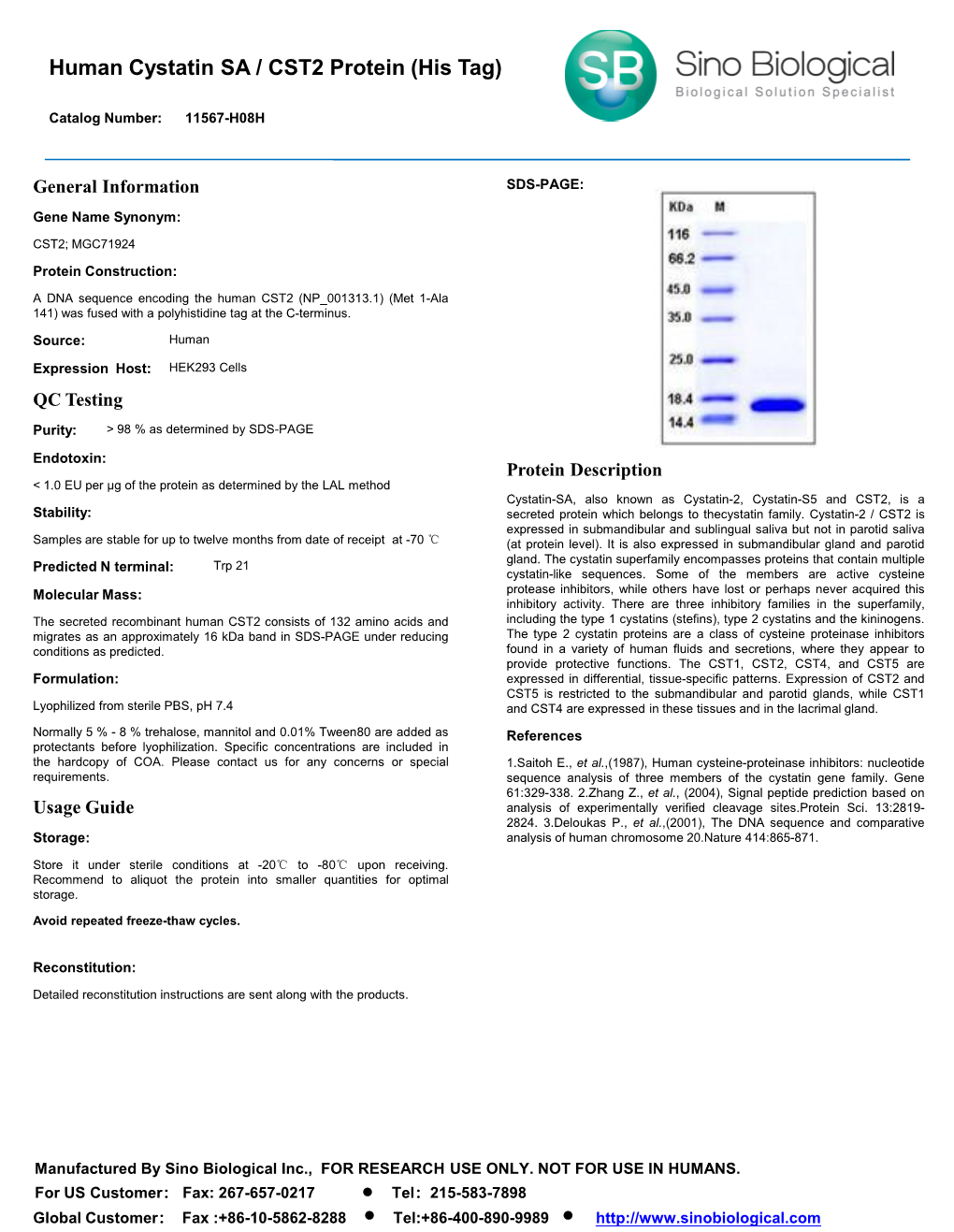 Human Cystatin SA / CST2 Protein (His Tag)