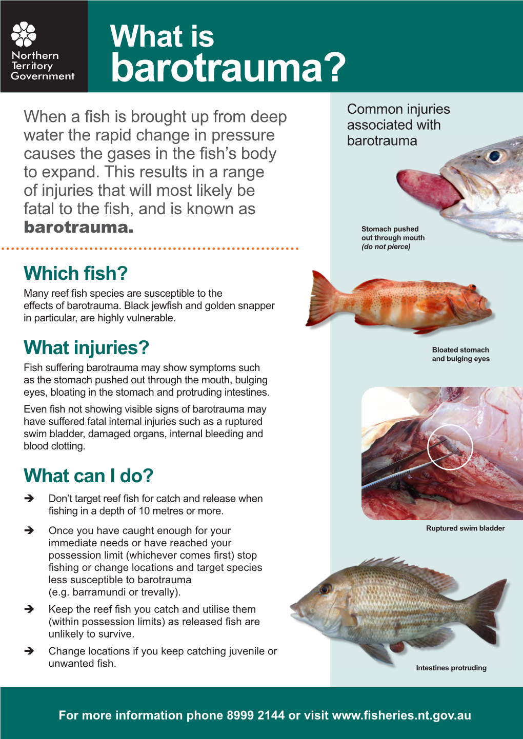 Barotrauma Fact Sheet