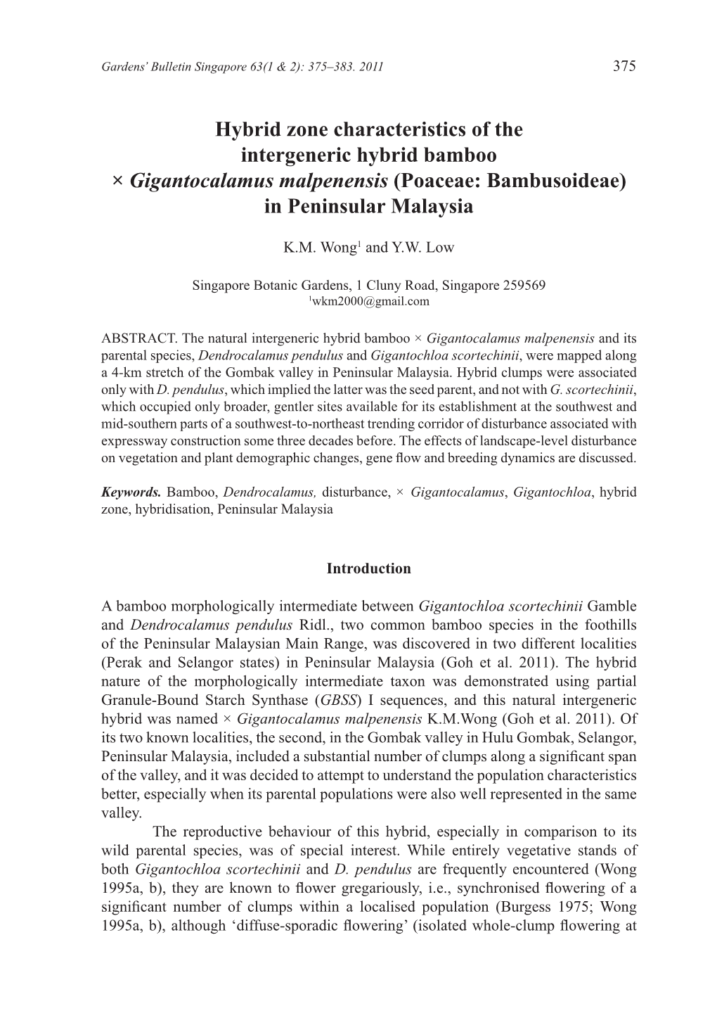 Hybrid Zone Characteristics of the Intergeneric Hybrid Bamboo × Gigantocalamus Malpenensis (Poaceae: Bambusoideae) in Peninsular Malaysia