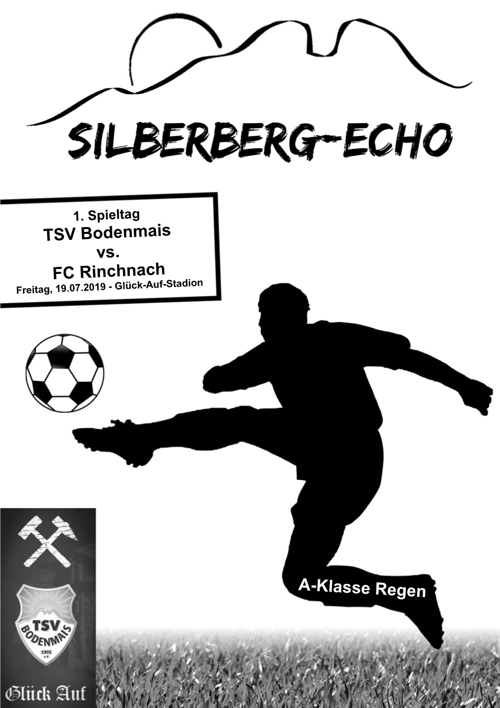 Fc Rinchnach