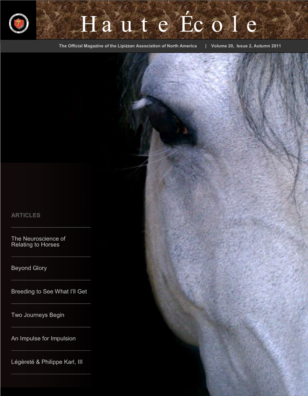 Volume 20, Issue 2, Autumn 2011