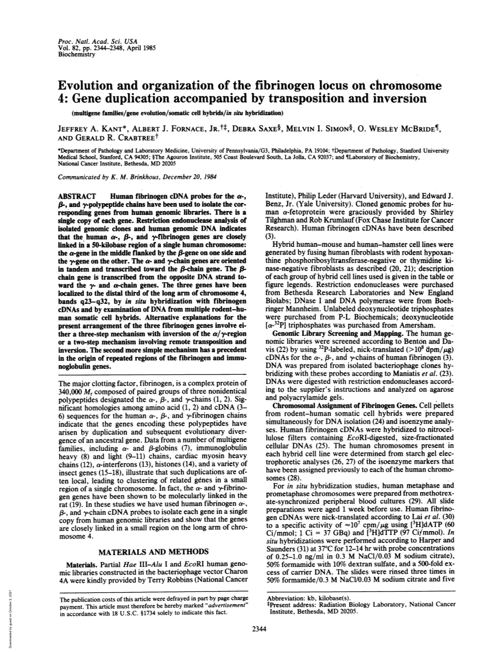 Gene Duplication Accompanied by Transposition and Inversion (Multigene Families/Gene Evolution/Somatic Cell Hybrids/In Situ Hybridization) JEFFREY A