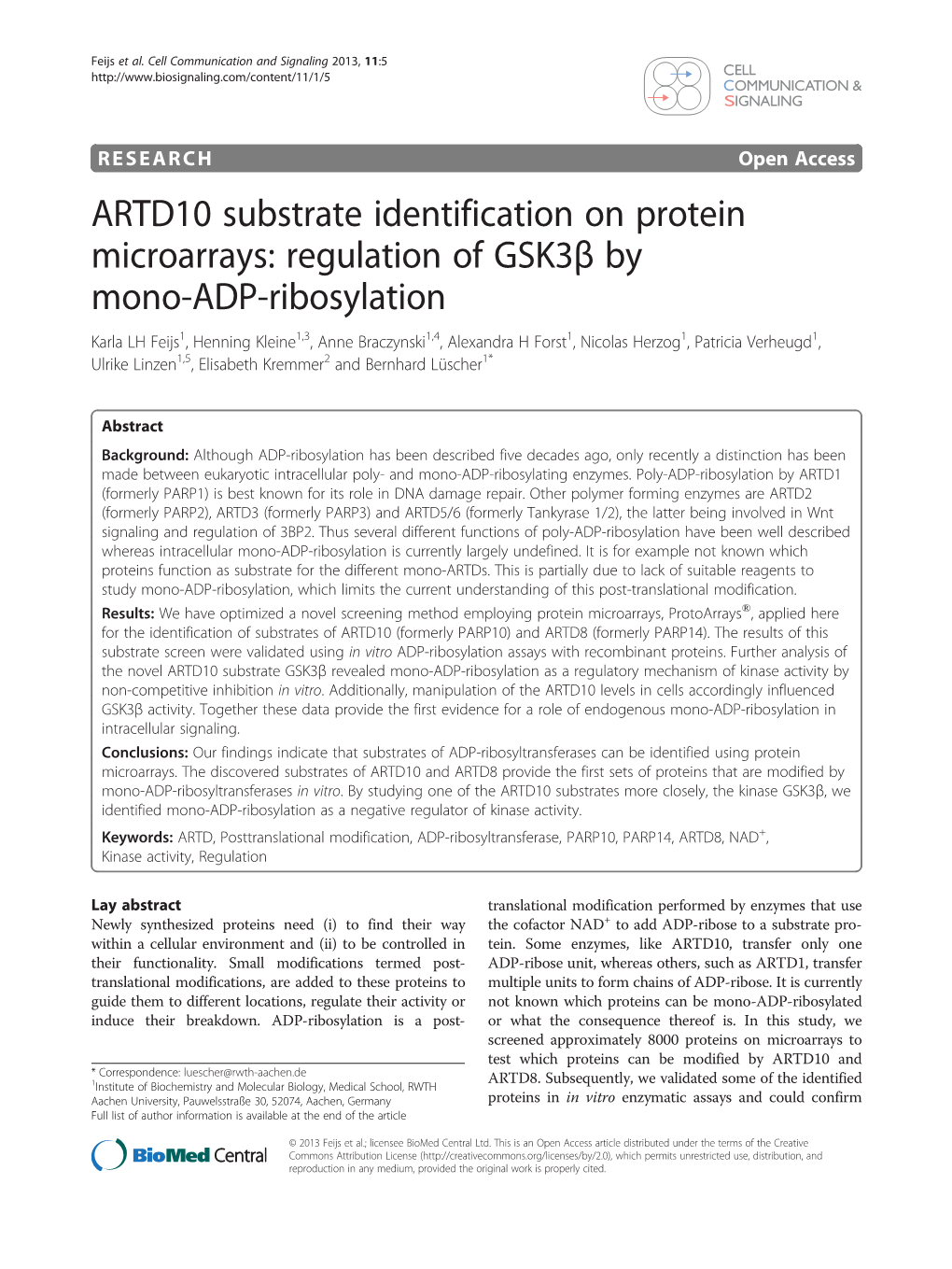 Regulation of Gsk3β by Mono-ADP-Ribosylation